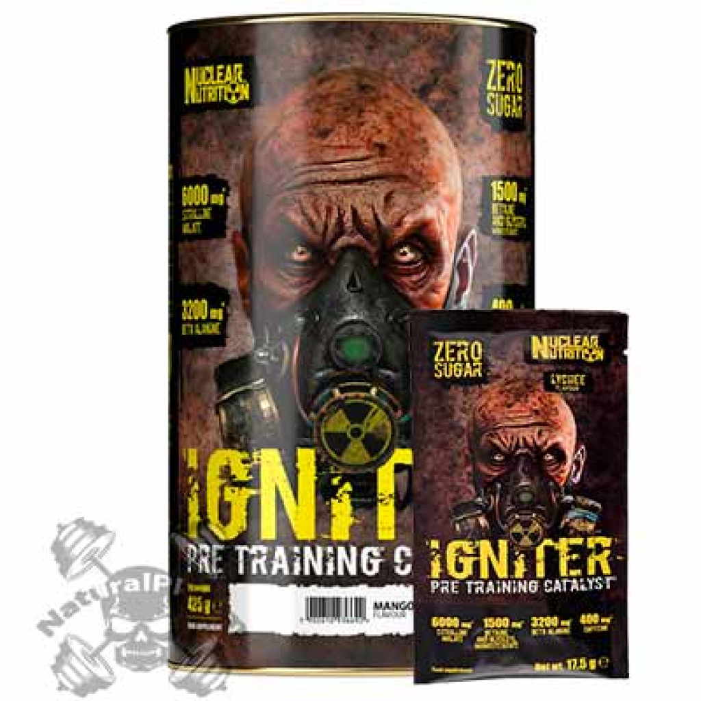Nuclear Nutrition Igniter