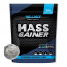 Willmax Mass Gainer