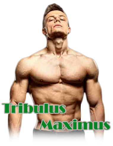BioTech Tribulus Maximus отзывы