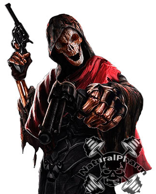 Skull Labs Executioner Whey купить